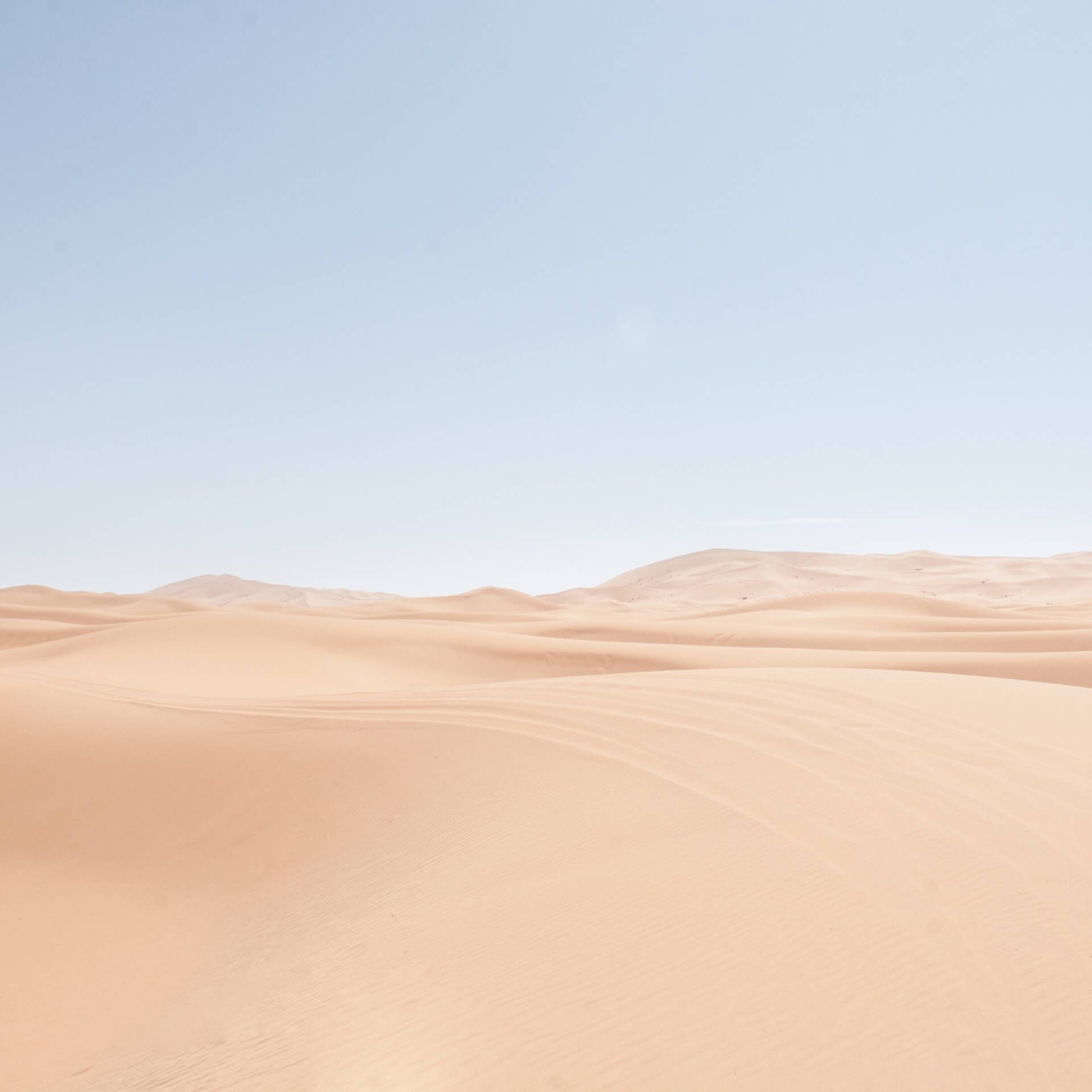 landscape-02
