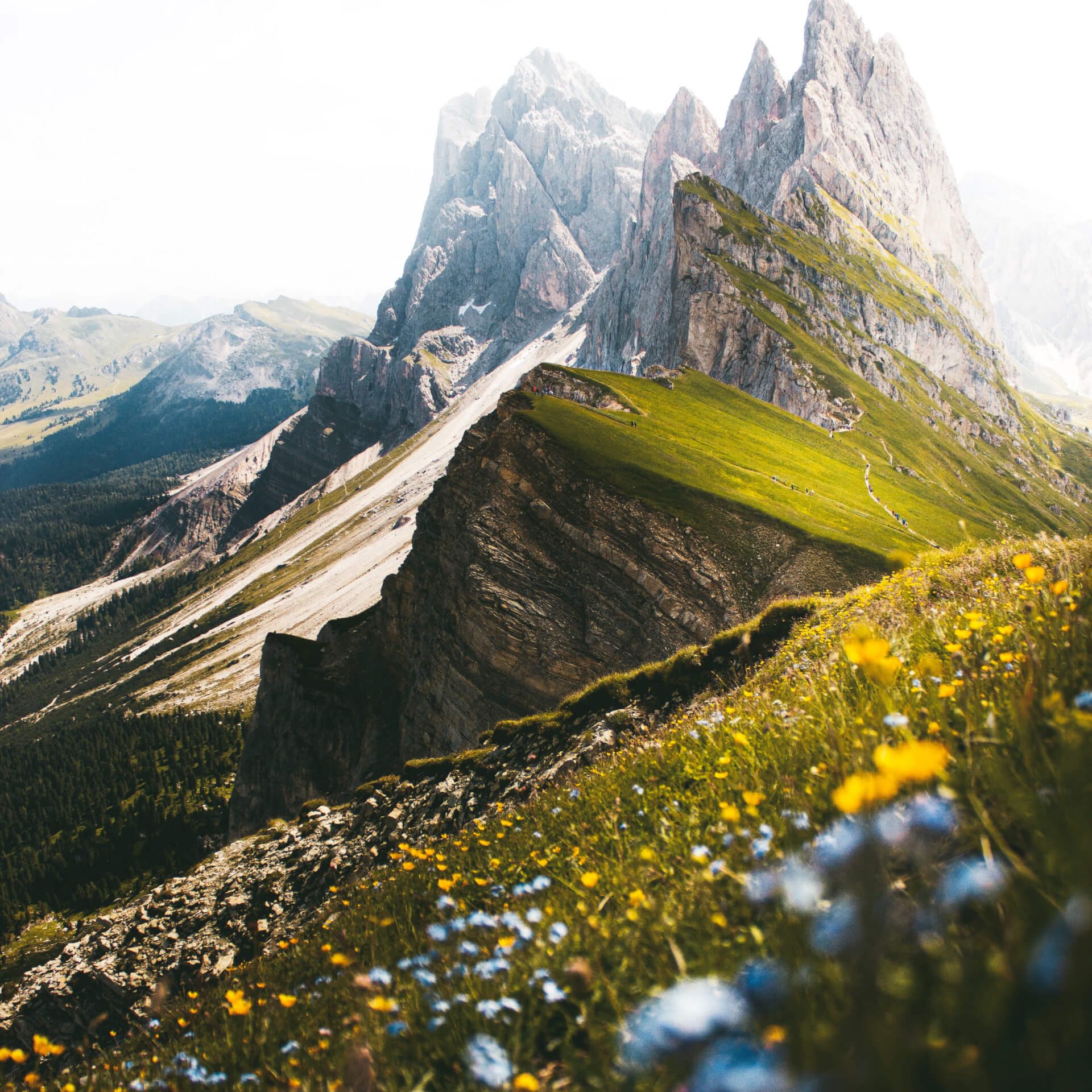 landscape-03