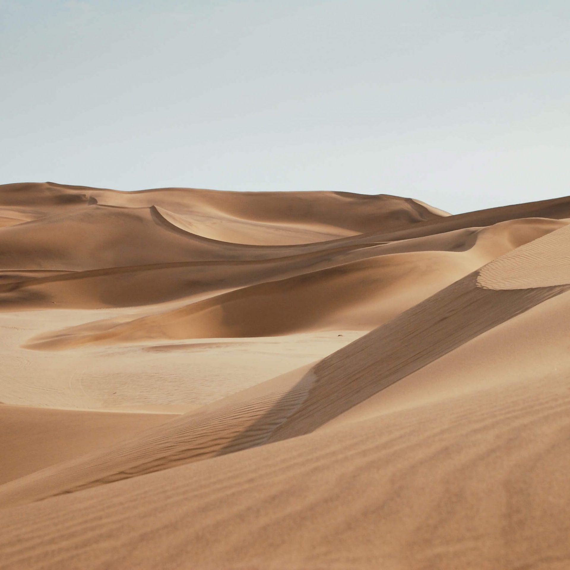 landscape-10